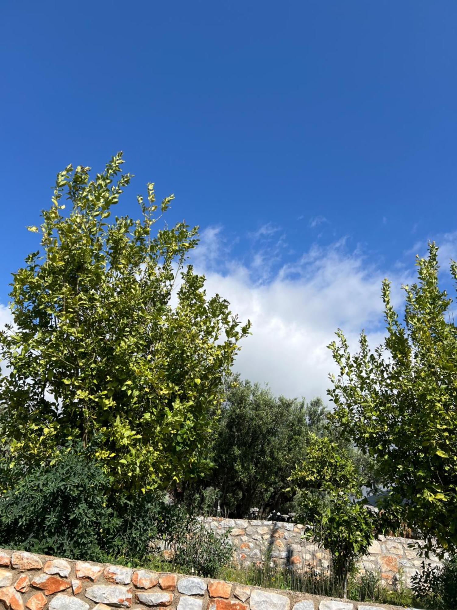 Hotel Koukouri Village 4*